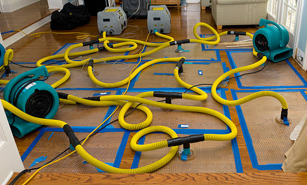 Professional Storm Water Damage Restoration technician working in Ridley Park, PA